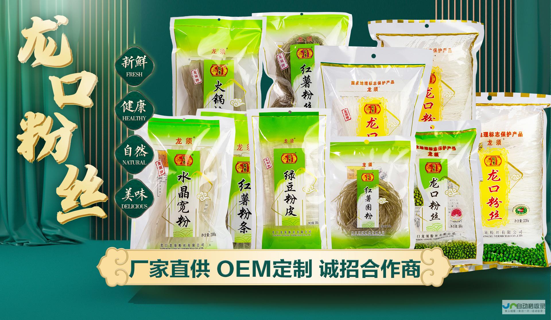 龙口专业网站建设服务：从设计到推广，全方位满足您的企业网络需求！